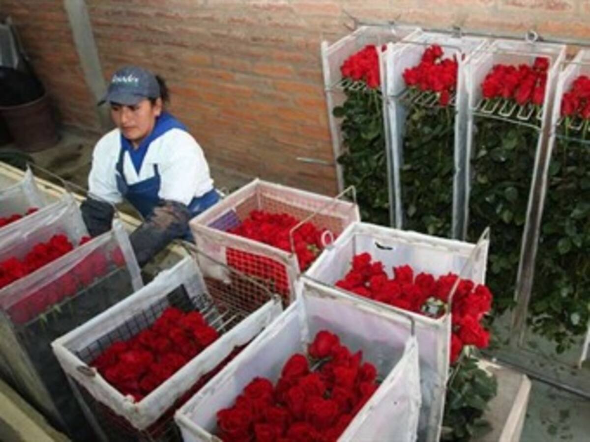 Exportaciones en Bogotá cayeron en un 17% en la primera parte de 2013