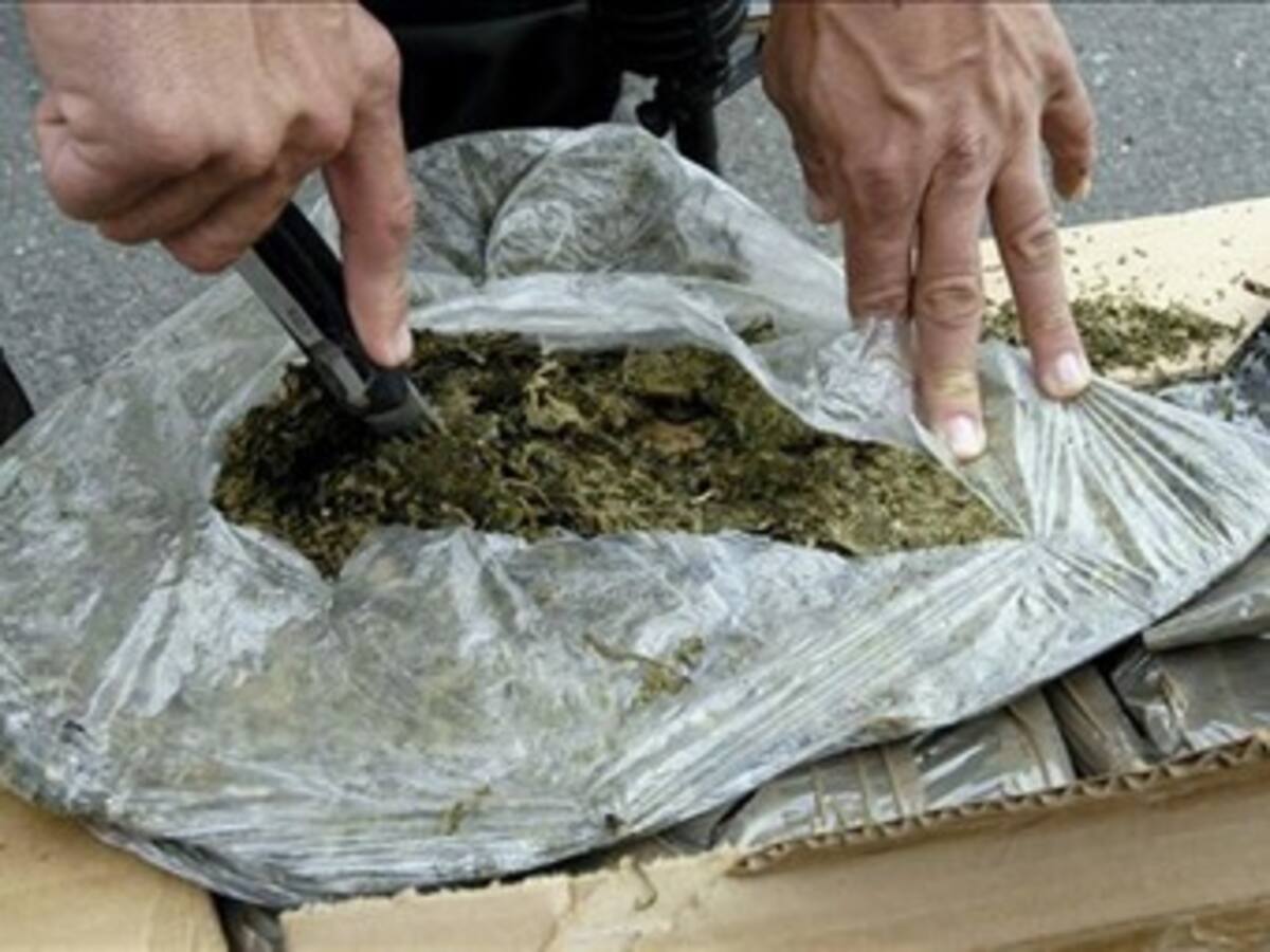 Dos toneladas de marihuana incauta la Policía en Cúcuta