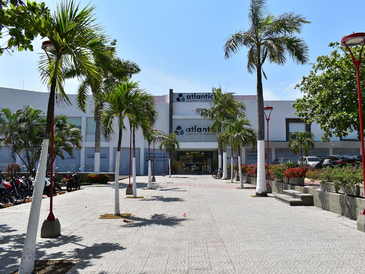 Crecimiento, flexibilidad y desarrollo: todo lo que los jóvenes buscan en una sola empresa