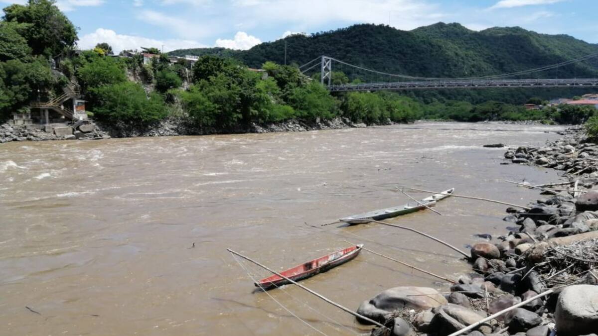 Subienda de pescado da primeras señales en el Tolima