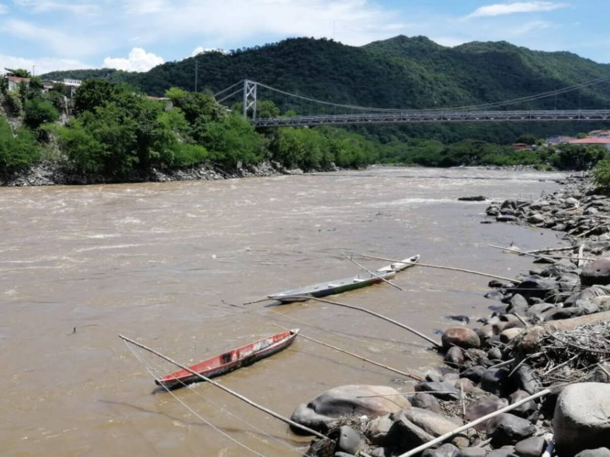 Subienda de pescado da primeras señales en el Tolima