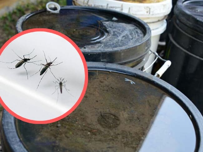 Aumentan los casos de dengue en Santander