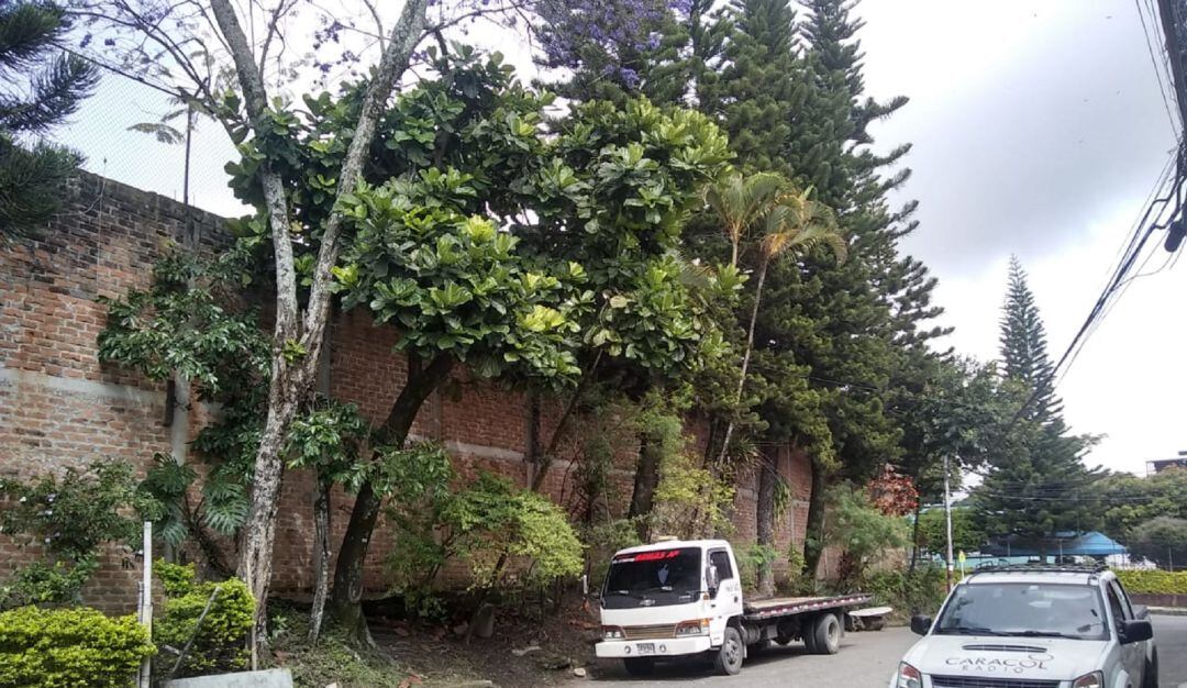 Barrio Claret Ibagué 