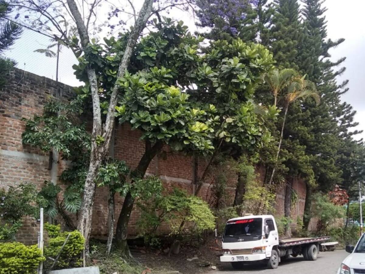 Una mujer fue herida en medio de un asalto en Ibagué