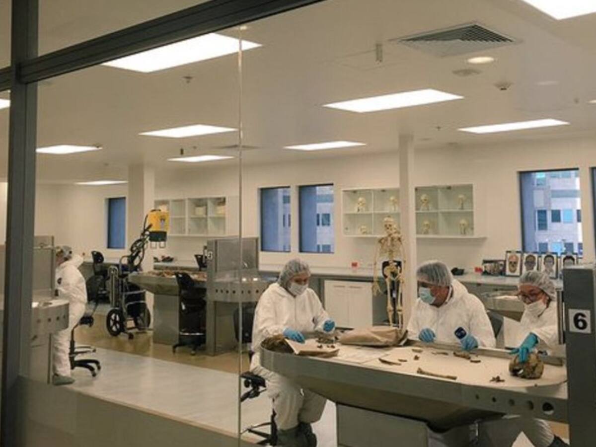 Las dudas frente a pruebas de ADN a Pizano