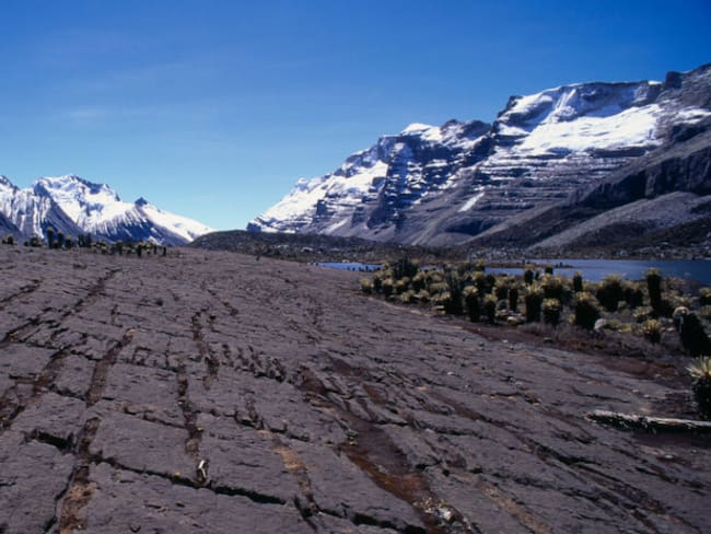 Sierra Nevada del Cocuy - Vista de una meseta kárstica de piedra caliza muy erosionada y grandes grietas donde la calcita se erosionó (Getty Images)