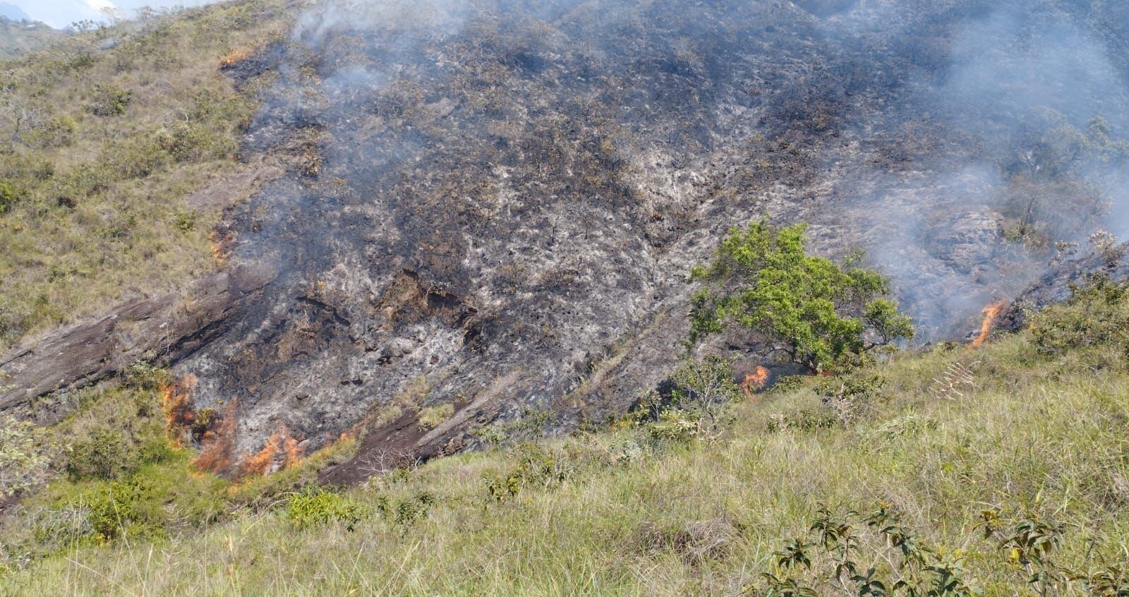 En esta región las temperaturas han superado los 39 grados centígrados.
