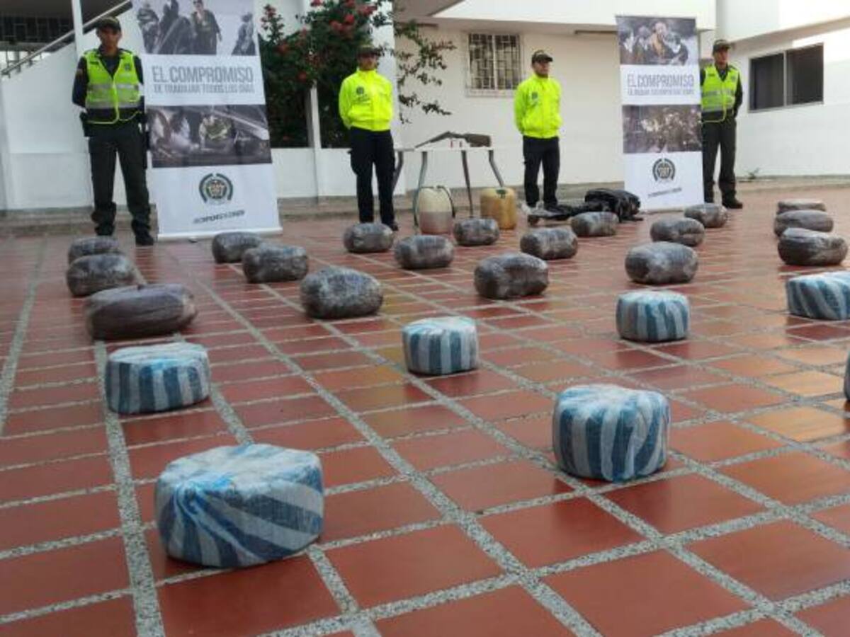 Policía incauta 300 kilogramos de marihuana en seis allanamientos