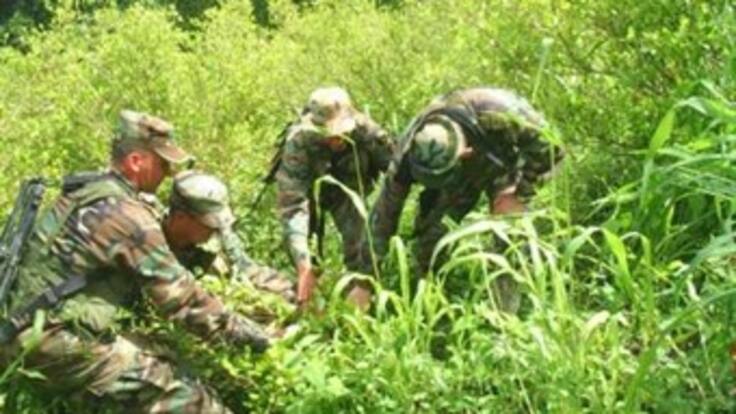 Santos: Si se aprueba referendo en California, hay que replantear estrategia global antidrogas