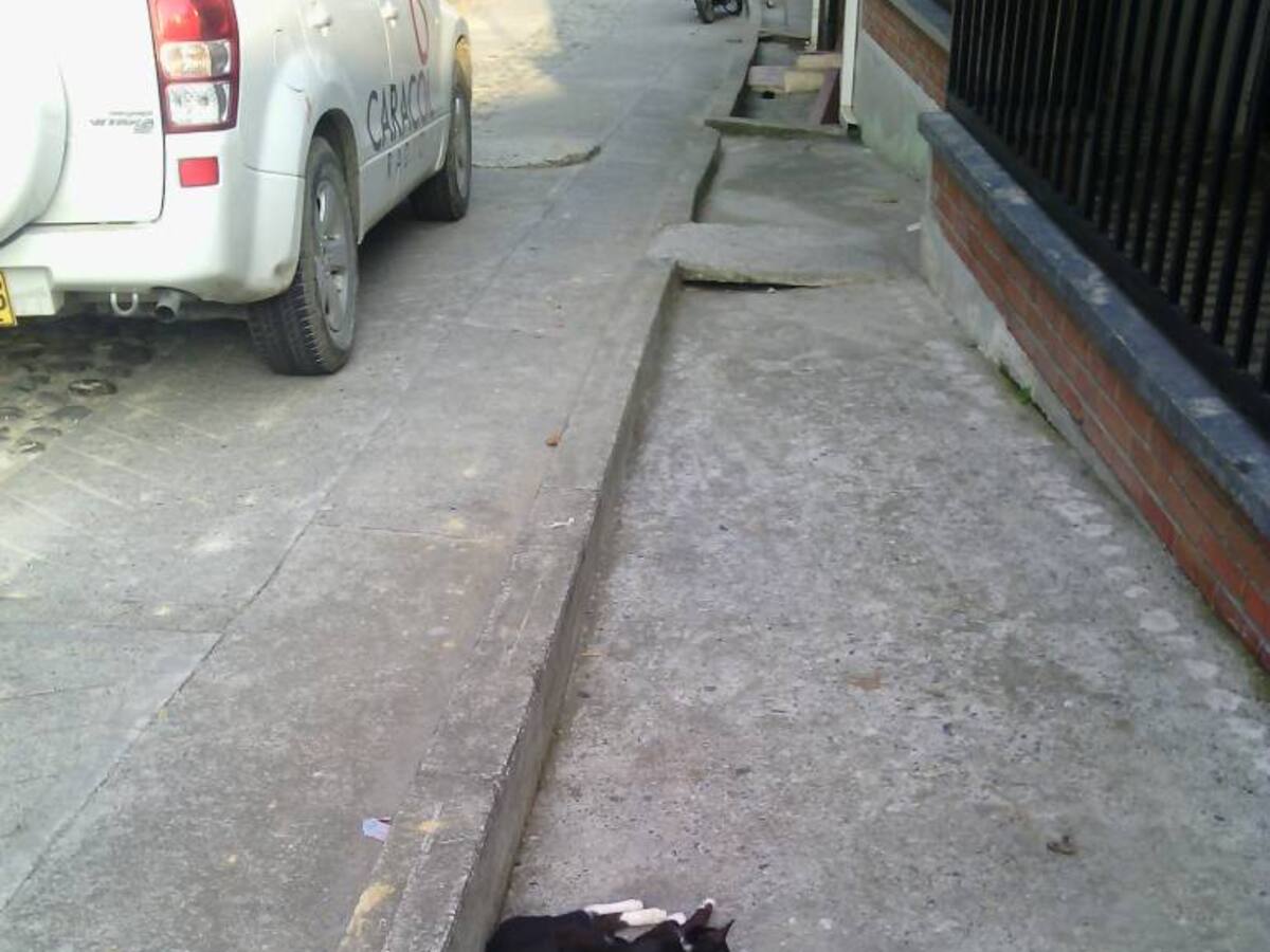 En Chinchiná abandonan las mascotas en el andén de un albergue