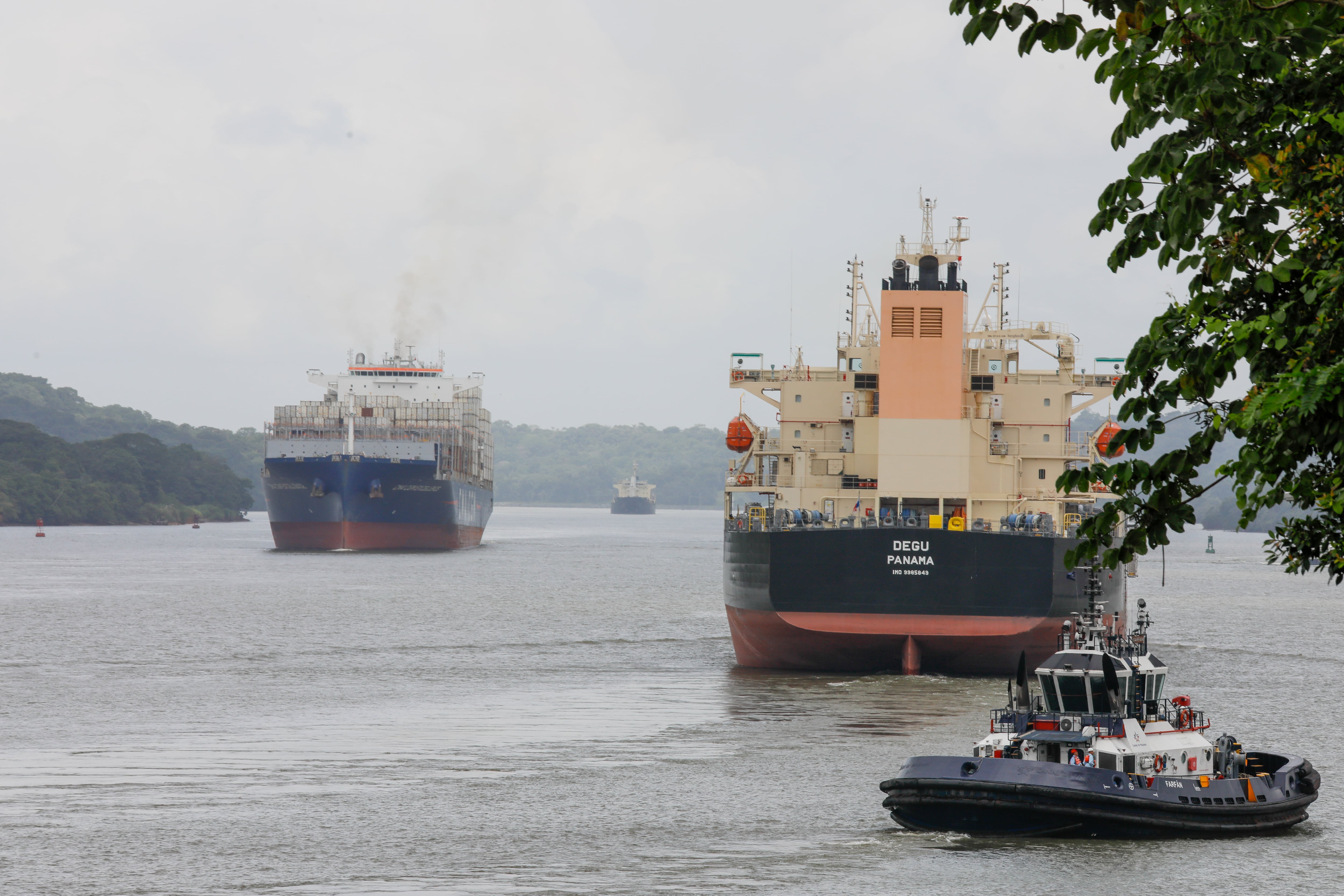 PANAMA CITY, PANAMA - AUGUST 22. Imagen tomada de Getty Imagenes (Credito: Anadolu / Colaborador)