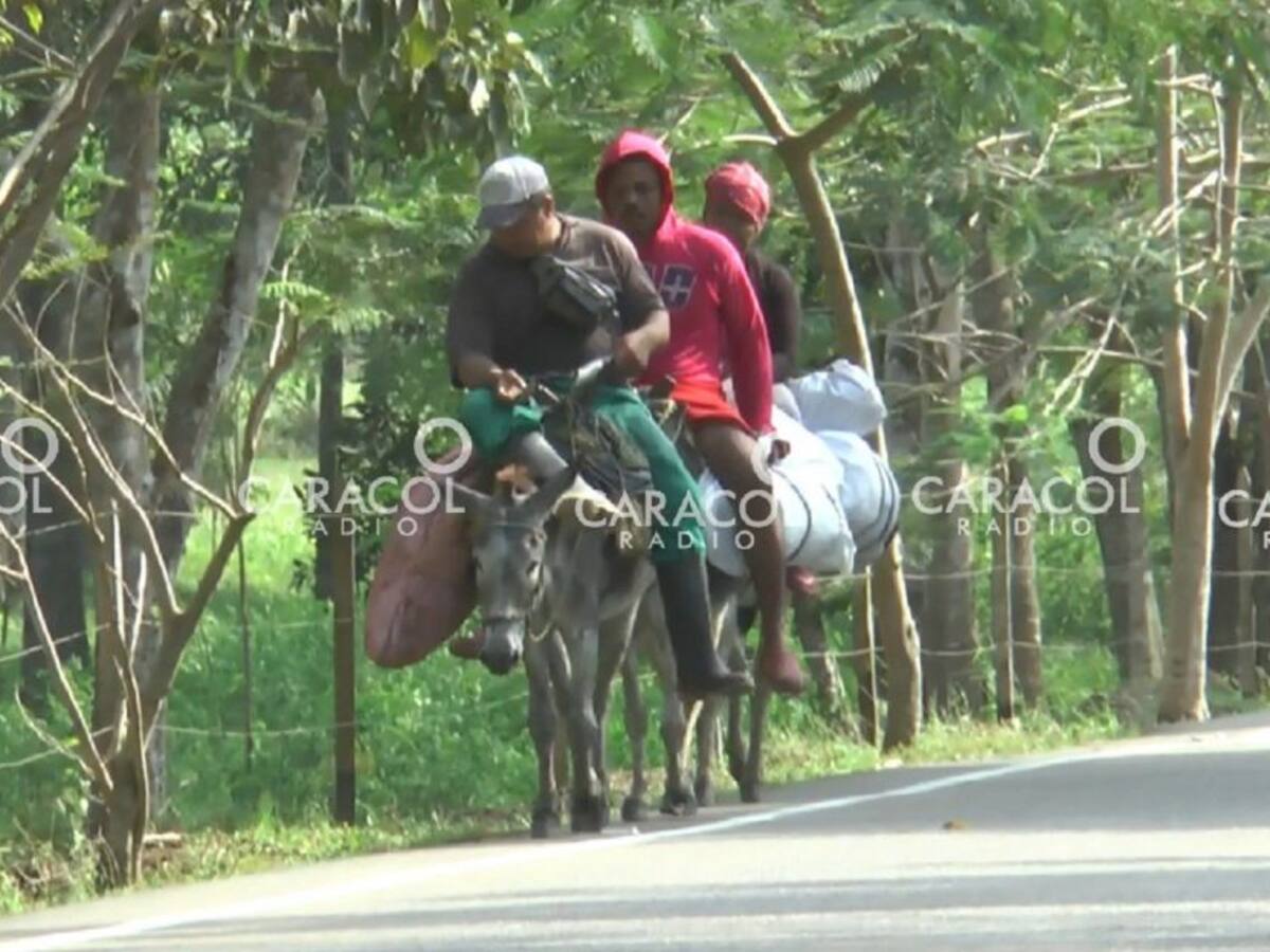 Viajando en burro burlan los controles algunos migrantes en Necoclí