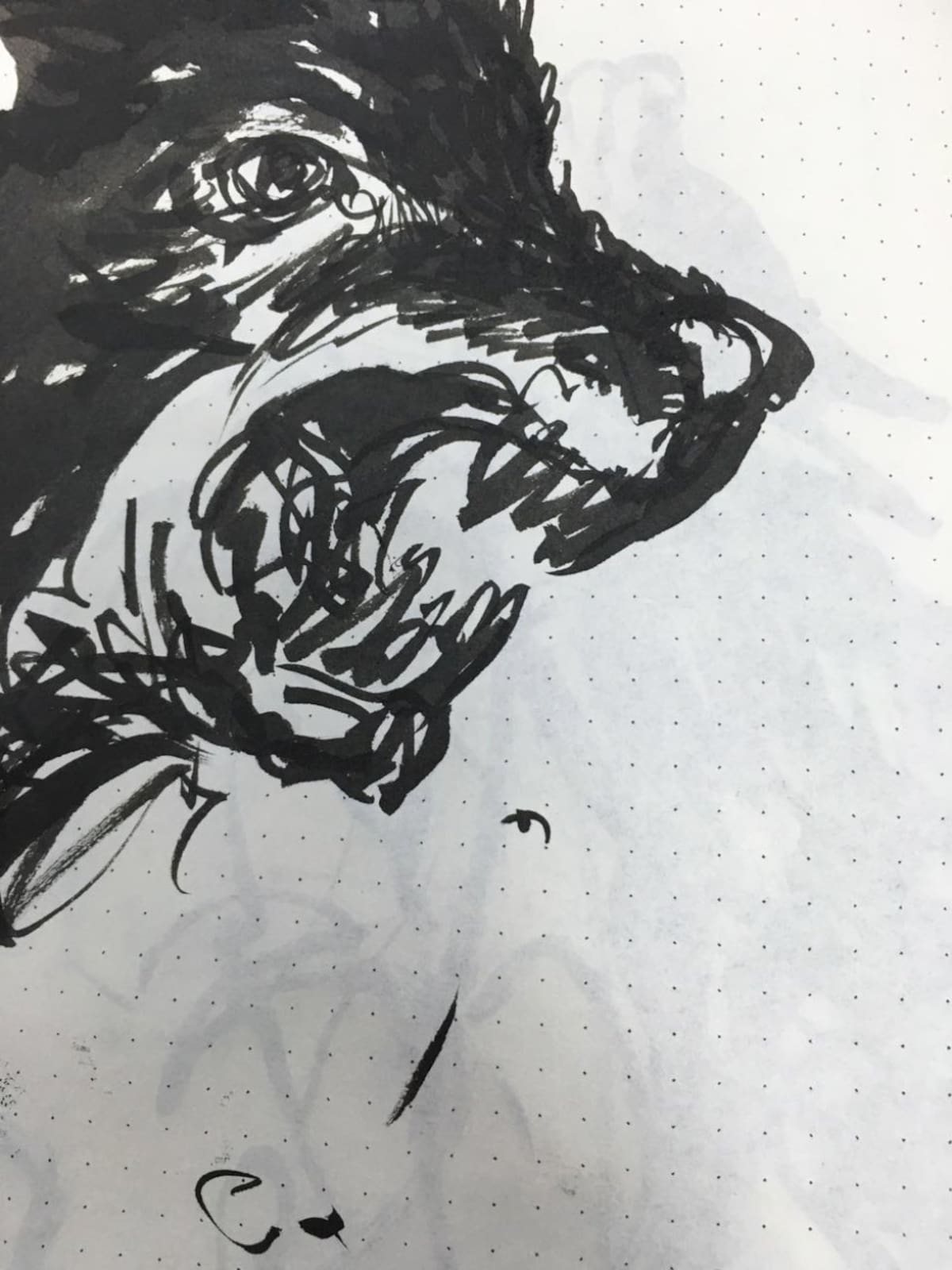 Santiago Rivas comparte con los oyentes y usuarios de Caracol Radio los dibujos que quedan en su cuaderno luego de cada emisión de La Ventana.