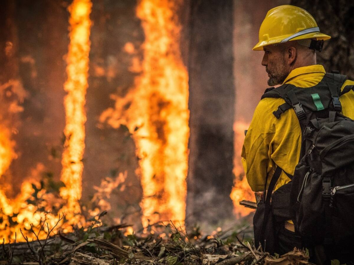 ¿Cómo preparar a los niños ante un desastre natural?