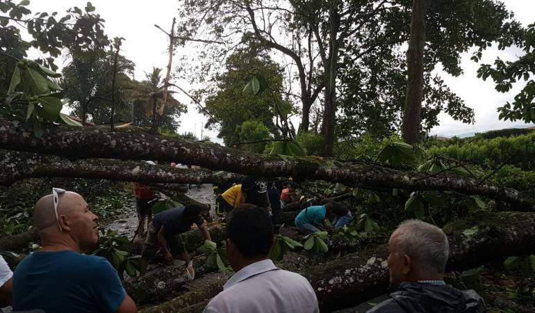 Organismos de socorro en el Quindío están en alistamiento preventivo