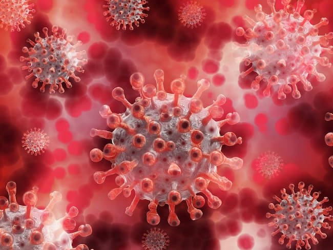 Según estudio, partículas de coronavirus flotantes podrían infectar células