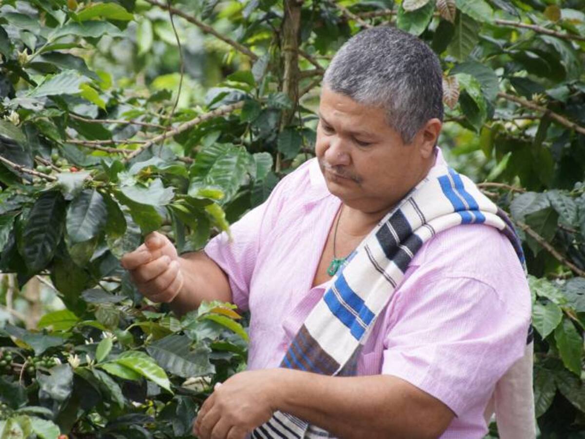 Víctimas restituidas de Valle, han recibido más de $5.000 millones para proyectos