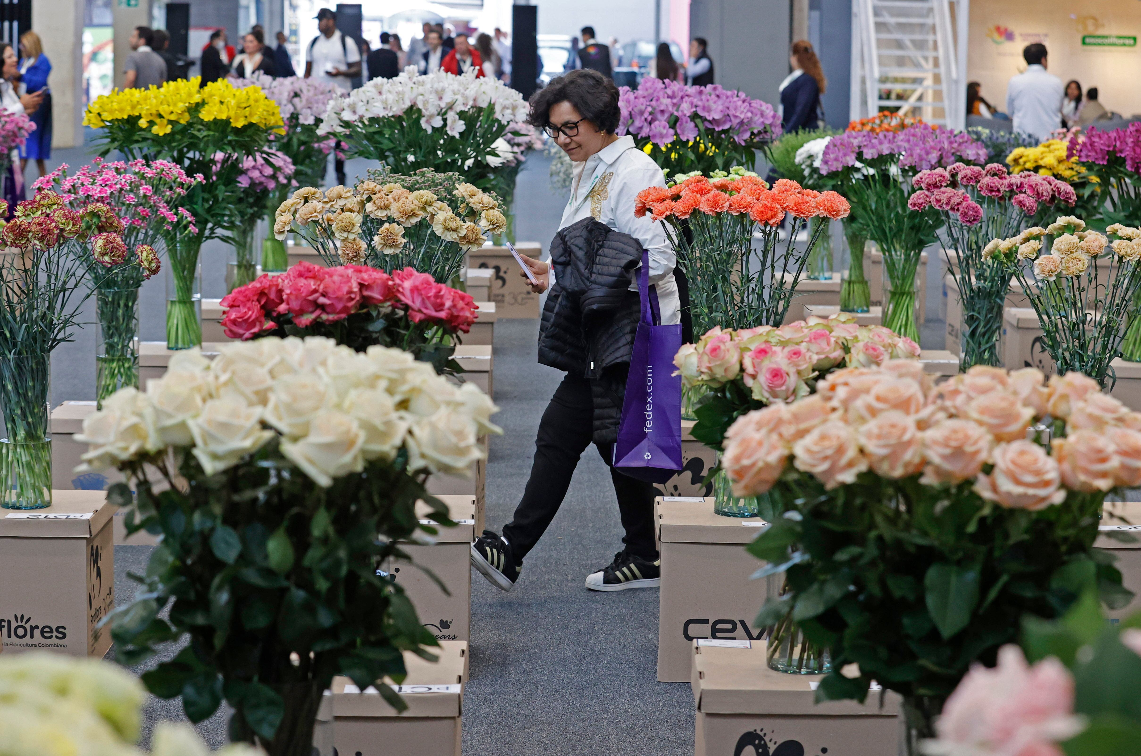 AME4638. BOGOTÁ (COLOMBIA), 04/10/2023.- Visitantes observan los arreglos de flores expuestos durante la feria Proflora, hoy, en el recinto ferial de Corferias en Bogotá (Colombia). La capital colombiana acogé desde este miércoles la trigésima edición de Proflora, la feria de flores frescas más importante de Colombia, en la cual participan las principales asociaciones de floricultores del mundo. EFE/ Mauricio Dueñas Castañeda