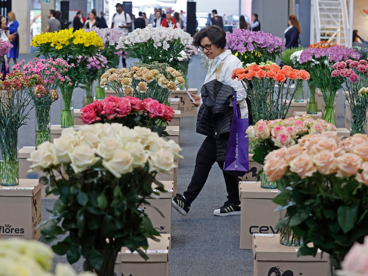 Fortaleza del peso comienza a generar preocupación entre los floricultores