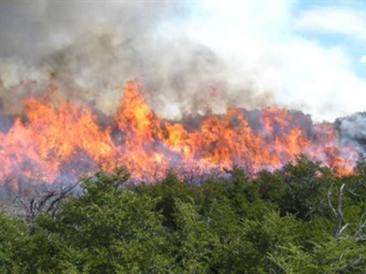 Incendio consume 20 hectáreas de bosque en San Roque, Antioquia