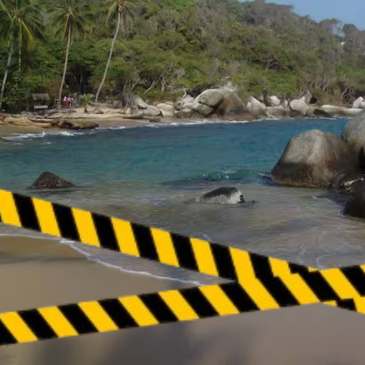 Distrito de Santa Marta ofrece acompañamiento ante la situación que se presenta en el Parque Tayrona