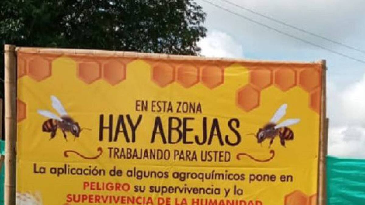Faber Sabogal, apicultor y colectivo Abejas Vivas y Asoproabejas