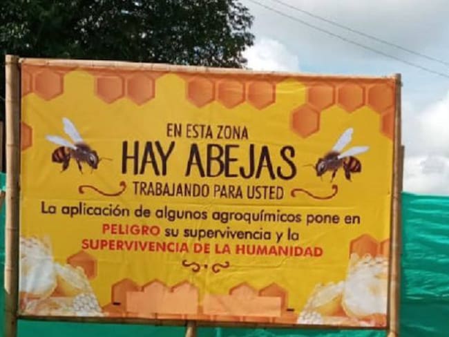 Faber Sabogal, apicultor y colectivo Abejas Vivas y Asoproabejas