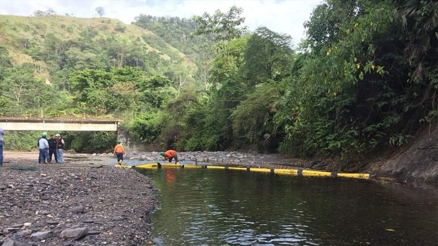 Este 10 de agosto se analizará cómo avanza la recuperación ambiental de la Serranía Las Quinchas. Foto: Alcaldía de Puerto Boyacá