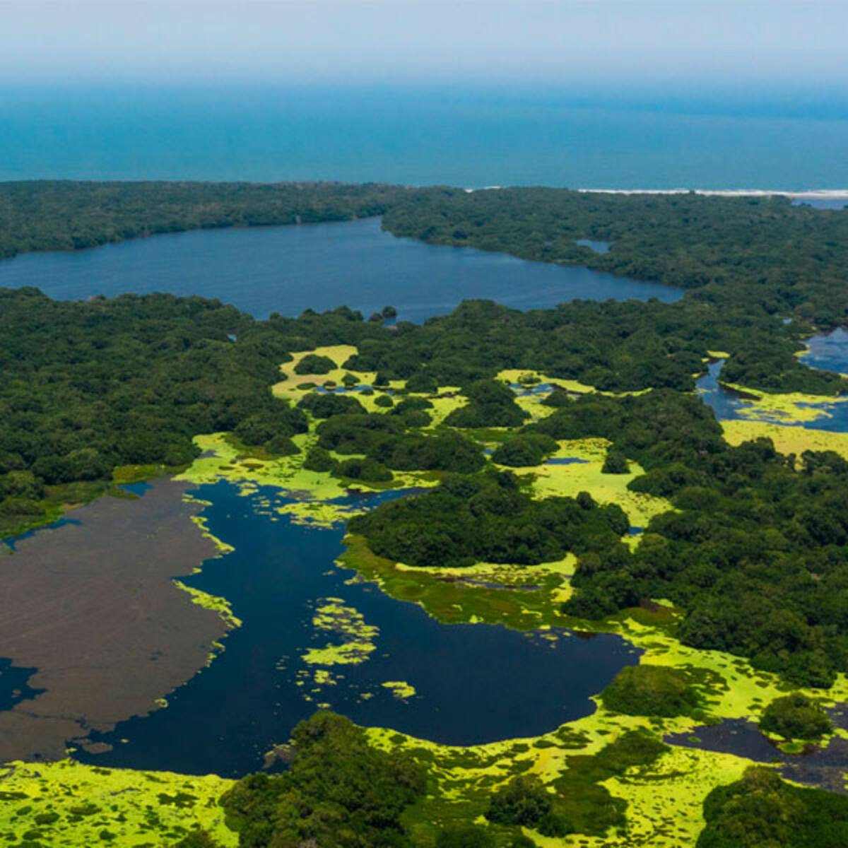 Fortalecen la vigilancia en el Parque Isla Salamanca por riesgo de incendio forestal