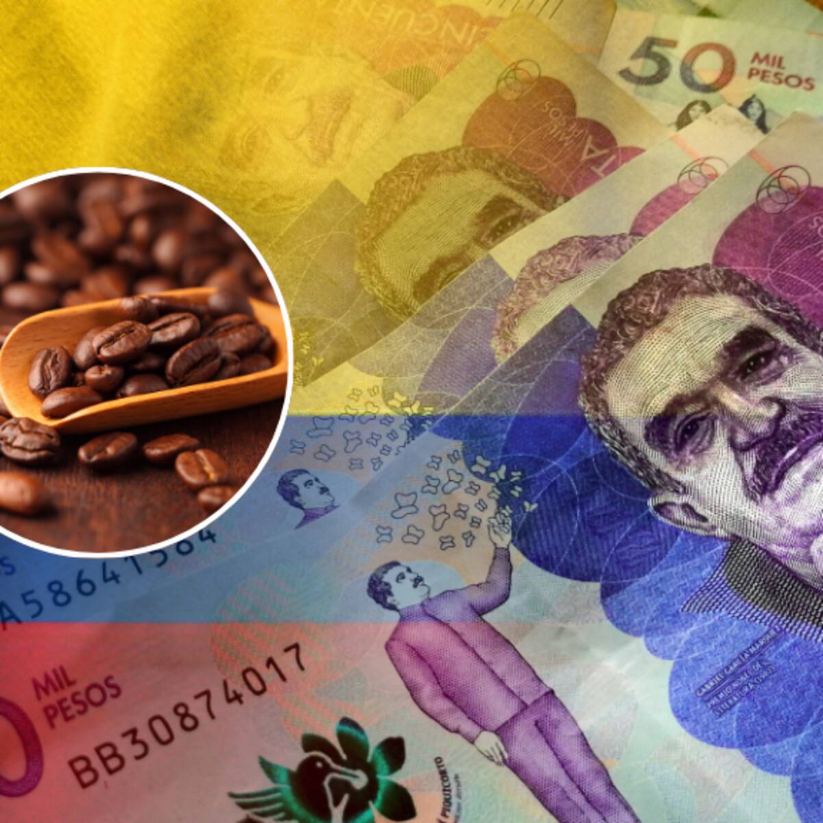 ¿A cuánto quedó el café? Este es el precio oficial por carga HOY en Colombia