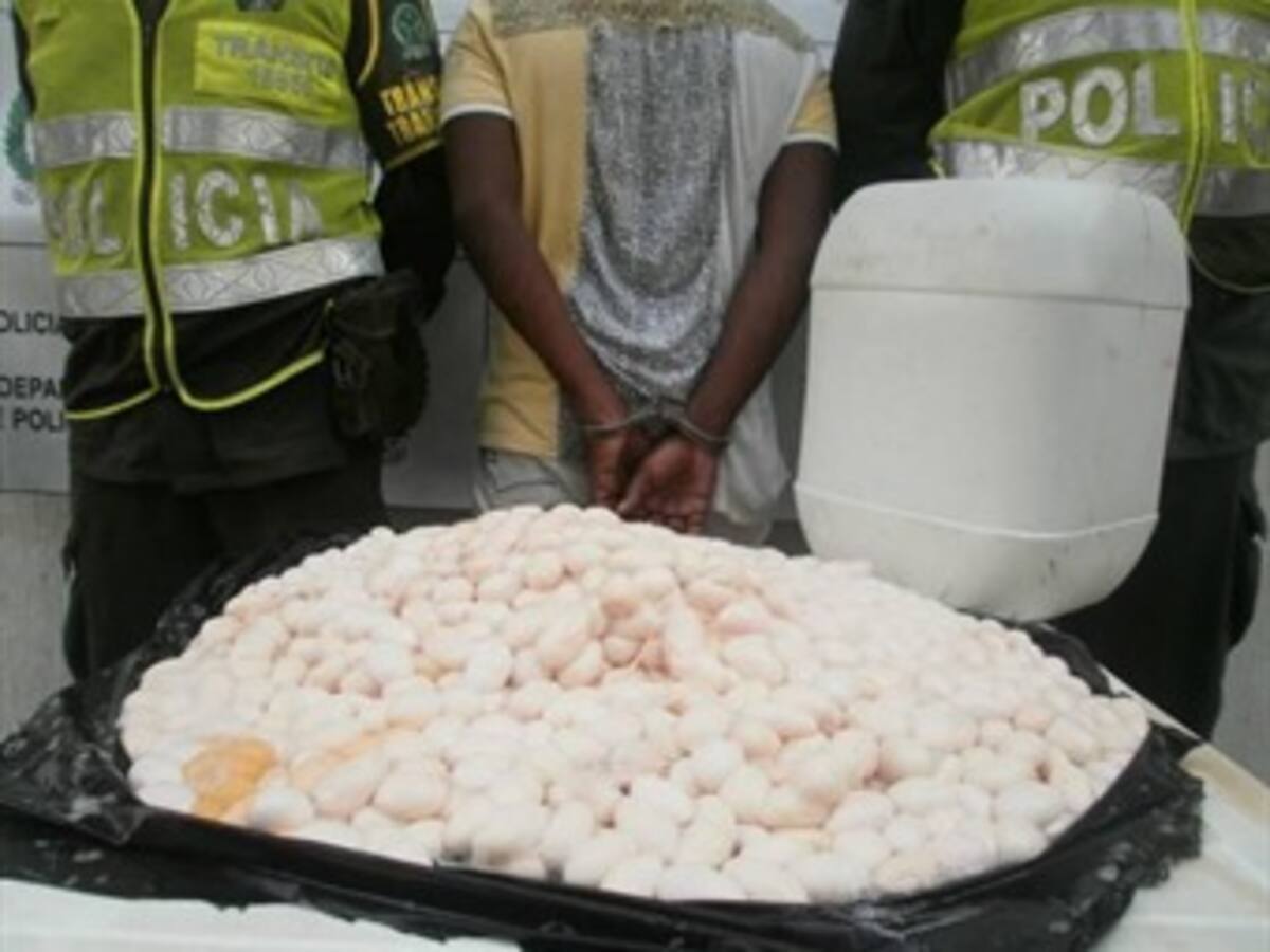 300.000 iguanas son sacrificadas en Semana Santa para extraerle los huevos