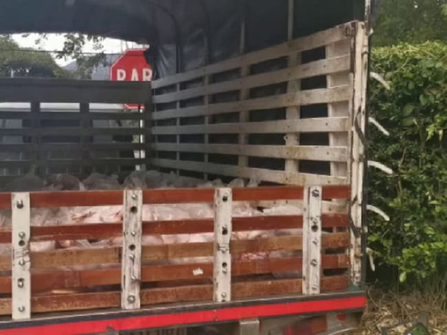 Incautaron 800 pollos que eran transportados sin las condiciones sanitarias