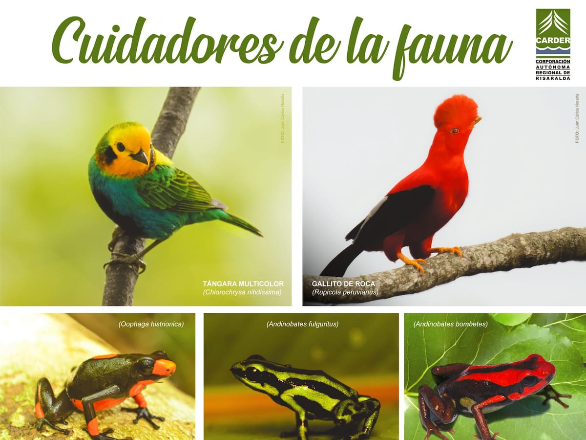 Varias Comunidades rechazan resolución de la ANLA de extracción de fauna silvestre