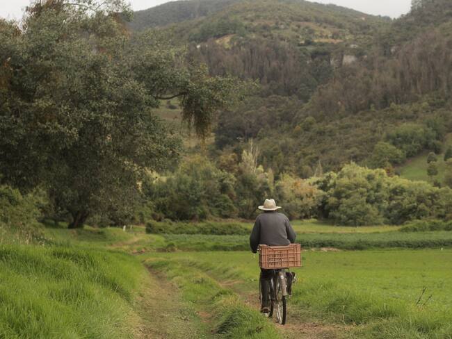 Medidas de protección a líderes sociales han fracasado