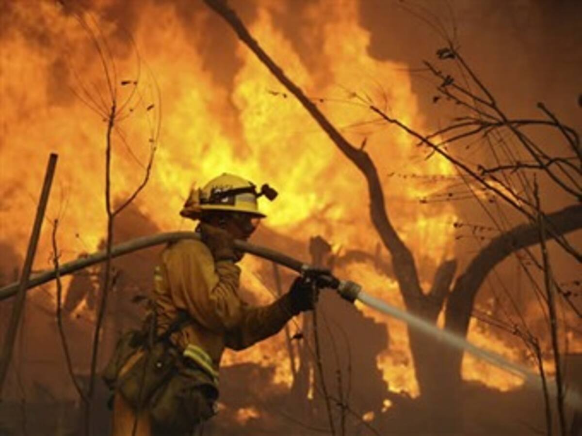 GFIMS, nuevo sistema de vigilancia en internet lanzó hoy la FAO