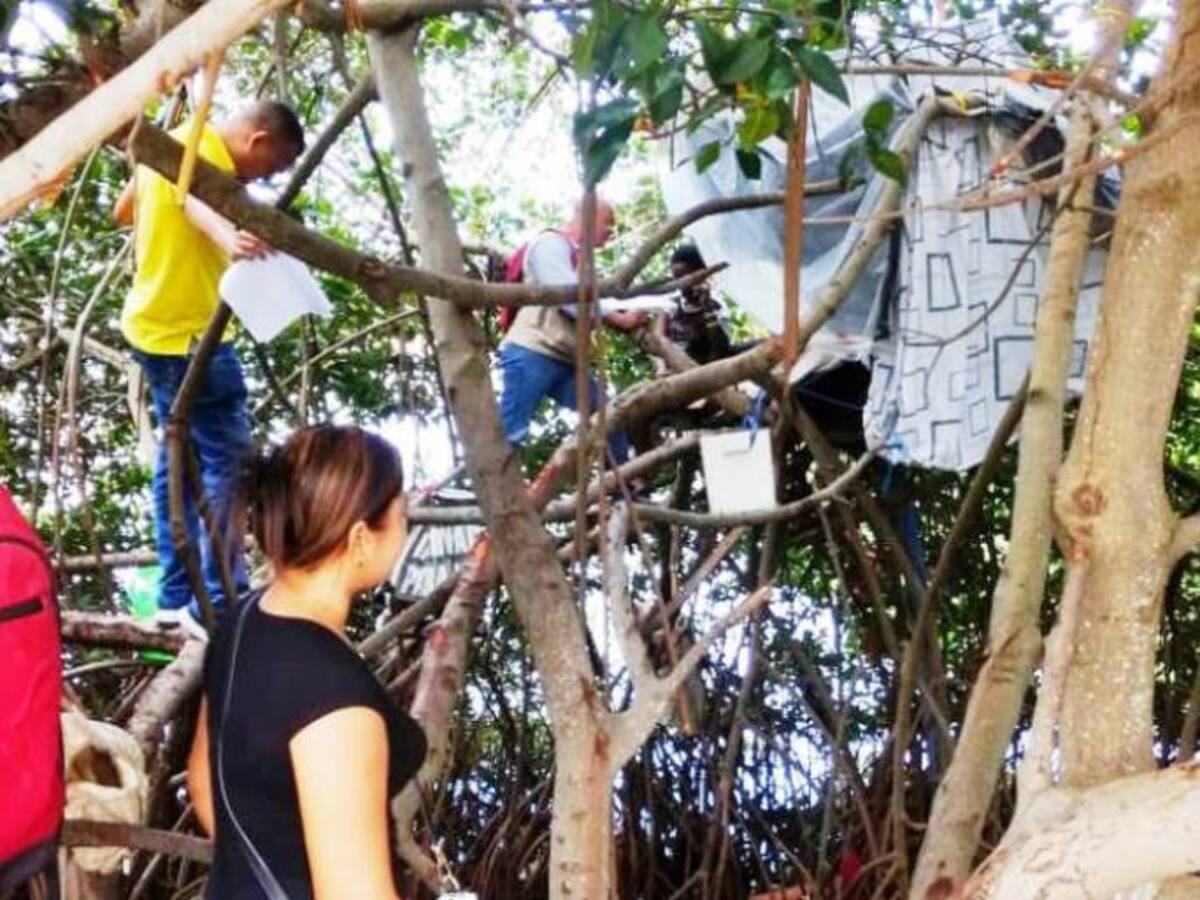 Habitantes de calle tenían cambuches en los mangles de la Avenida El Lago