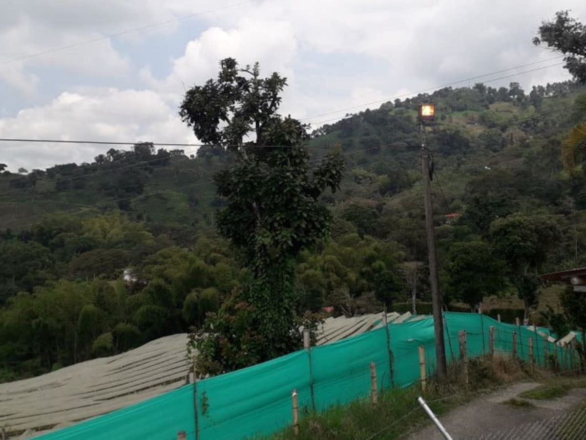 Lunes 9 de noviembre, las noticias más importantes de Armenia y Quindío