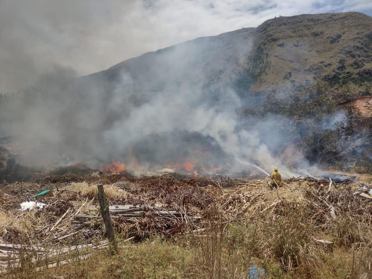 Incendio forestal incontrolable arrasa con cientos de hectáreas en Natagaima, Tolima