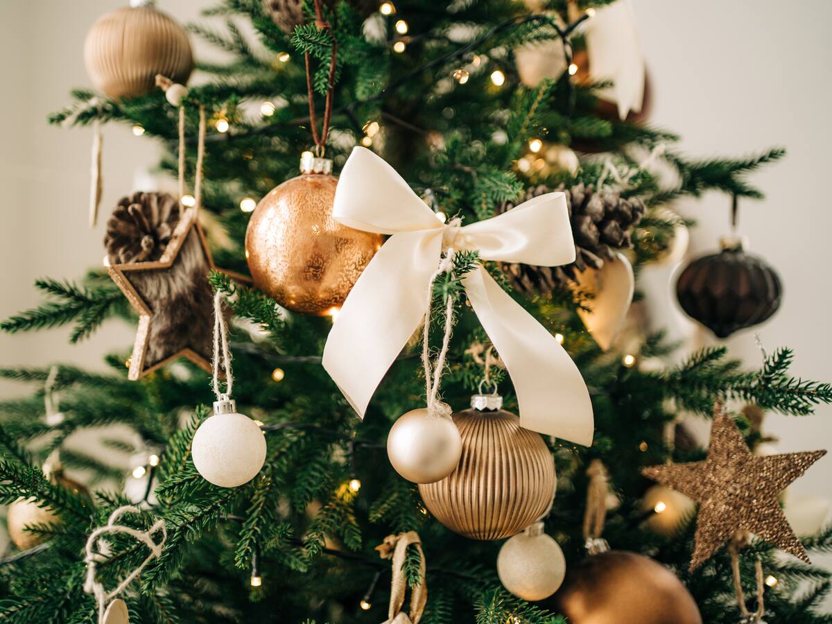 Cuánto mide el árbol más grande de Navidad en Colombia: queda a 19 hrs de Bogotá