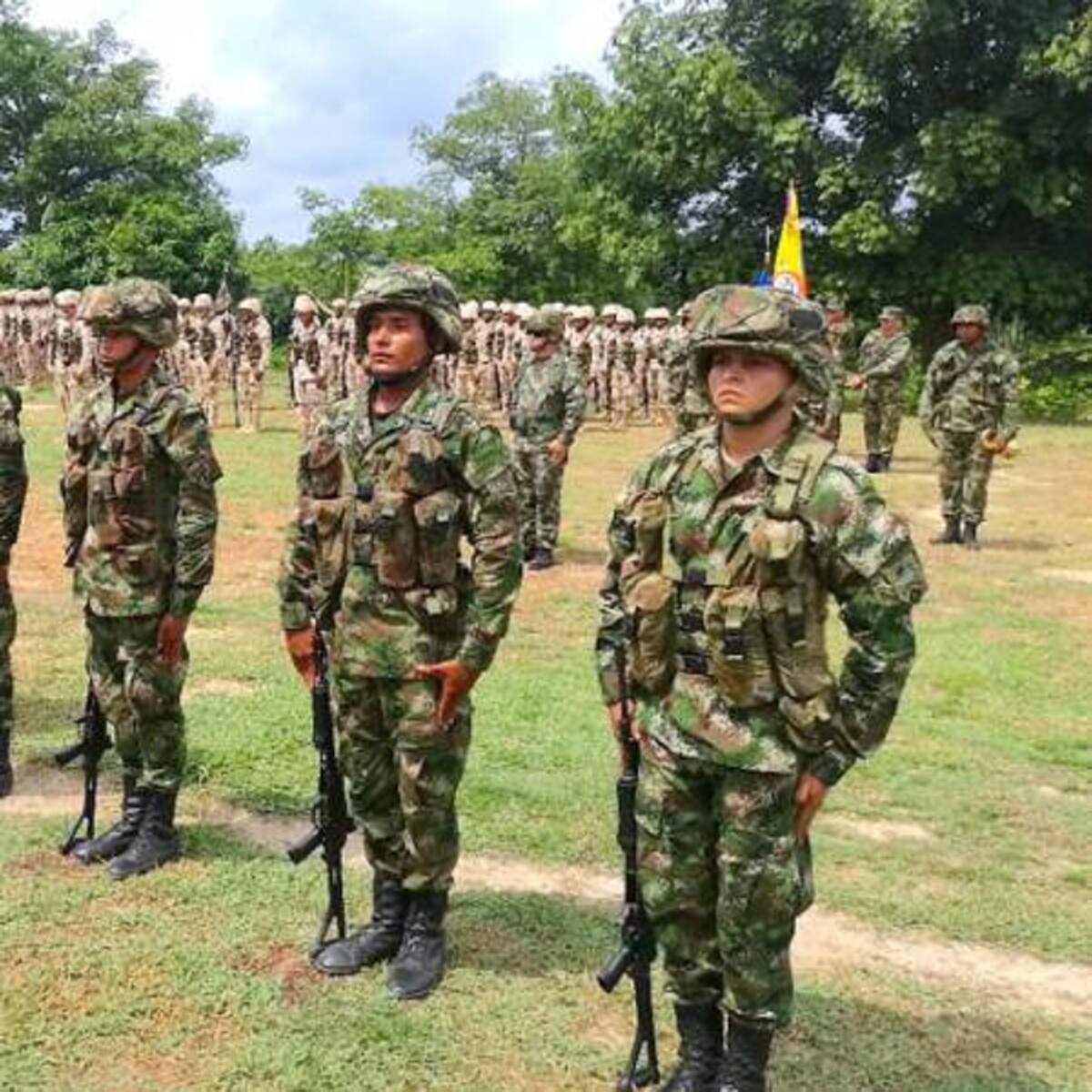 Dos nuevos pelotones de soldados profesionales llegarán a Risaralda
