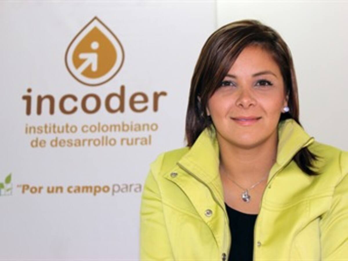 Juicio disciplinario a subgerente de tierras del Incoder por mentir en su hoja de vida