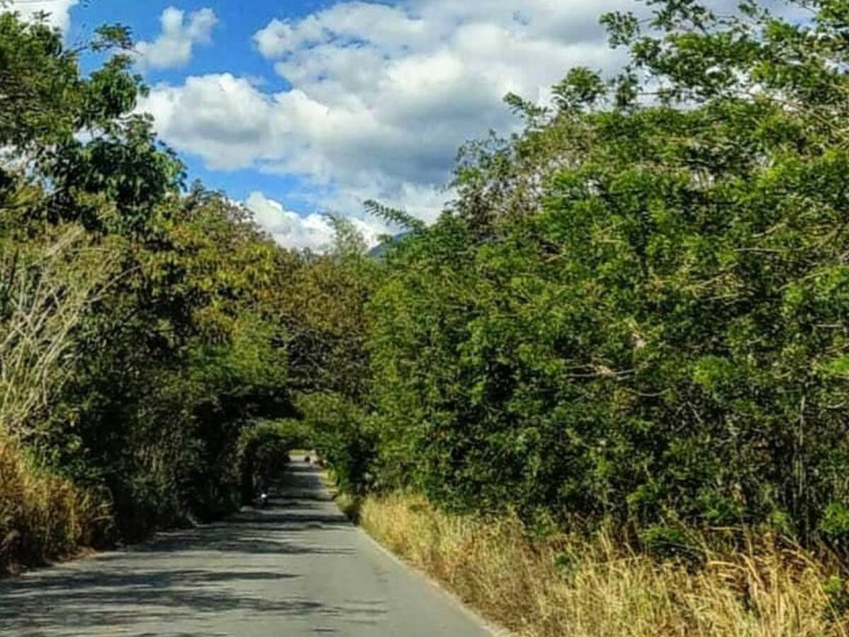 Las noticias más importantes de Armenia y el Quindío, lunes 11 de mayo