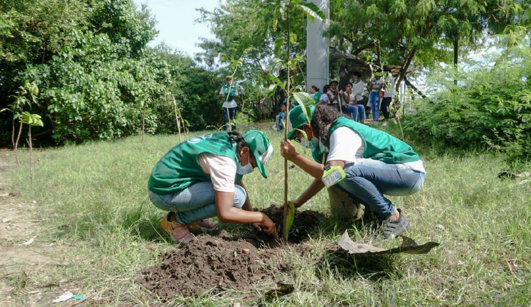 De esta jornada se beneficiaron zonas de Blas de Lezo, Canapote, EL Pozón, Alcibia, Villa Rosa, Almirante Colón, El Laguito, Bocagrande, entre otras