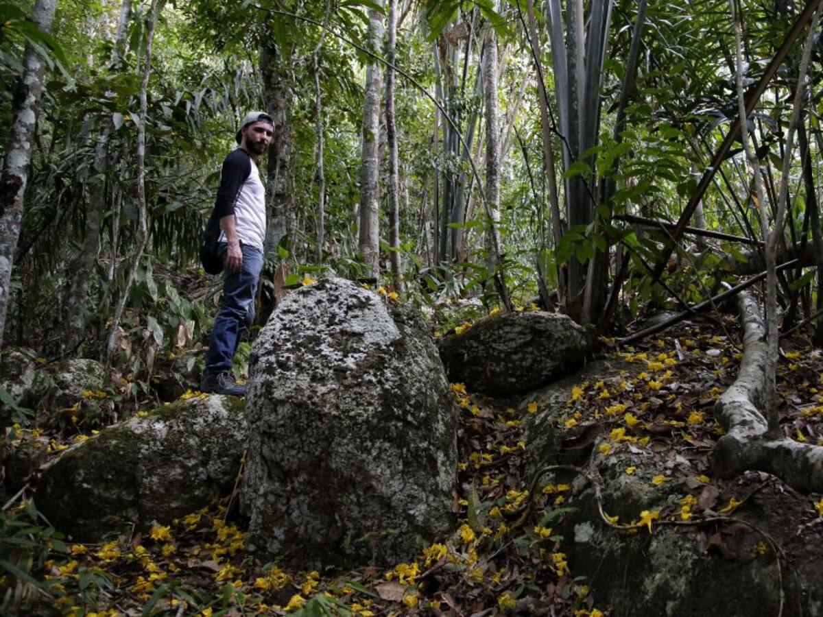 Colombia debe construir una economía de selva