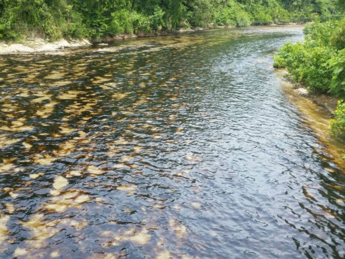 ELN ataca nuevamente al oleoducto Caño Limón Coveñas