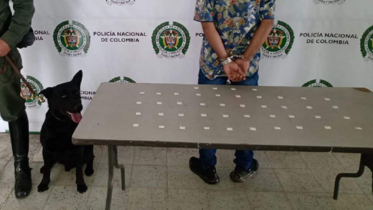 ‘Logan’ fue clave en la captura de un hombre por porte de estupefacientes