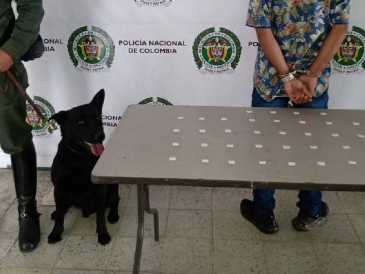 ‘Logan’ fue clave en la captura de un hombre por porte de estupefacientes