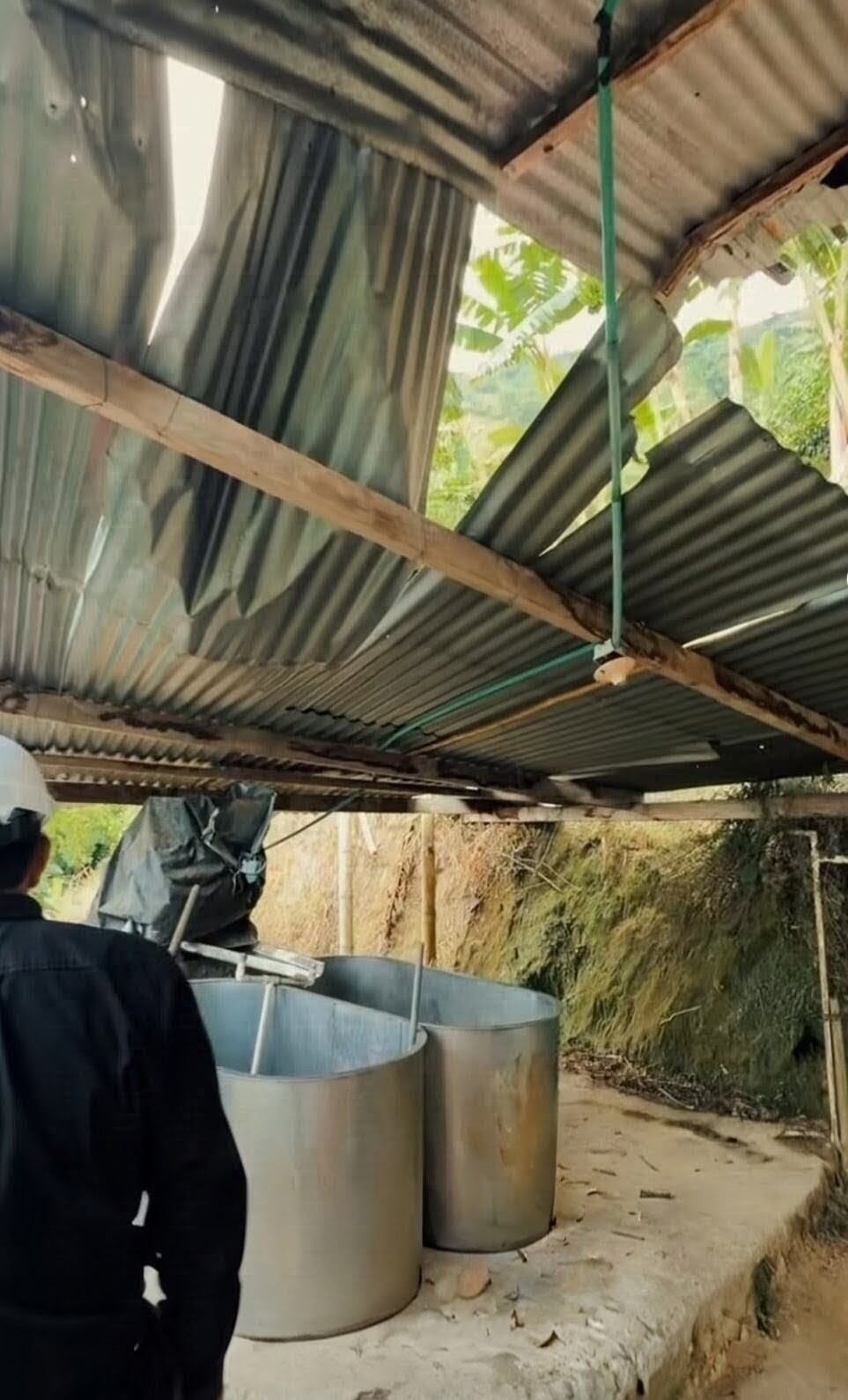 Finca cafetera en el corregimiento La Cristalina en Manizales. Foto: @alcaldiademanizales.