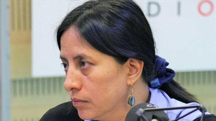 "El nuevo alcalde debe construir sobre lo construido": veedora distrital