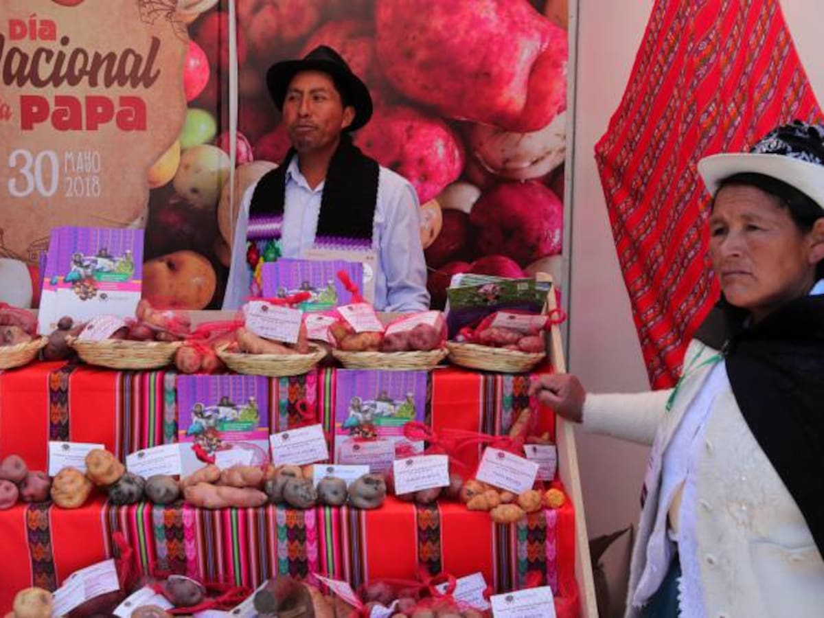 Perú festeja día nacional de la papa con desfile de sus miles de variedades